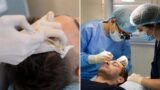 stem cell vs standard hair transplant